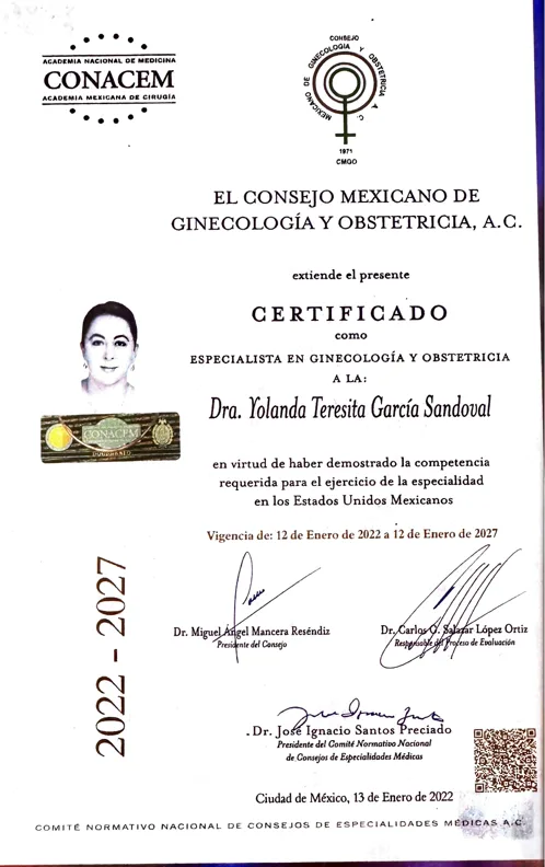 Certificación profesional 12